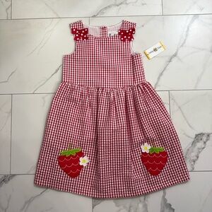 NWT Strawberry Seersucker Dress